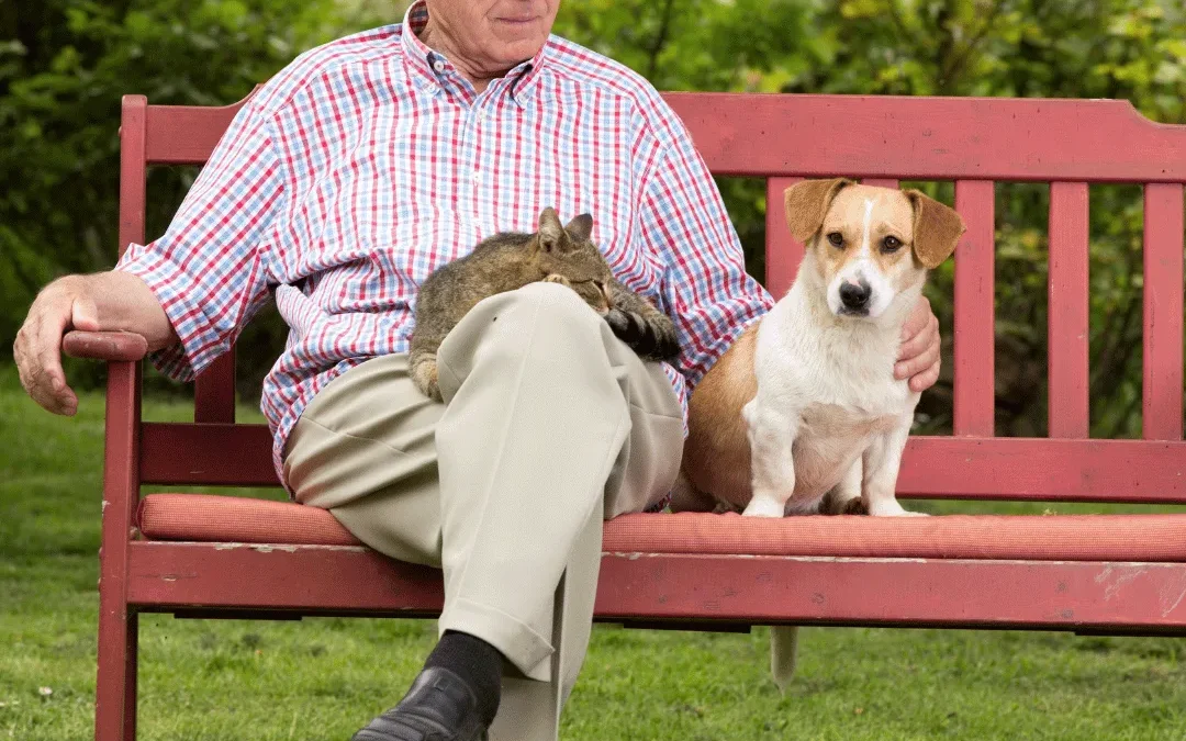 Best estate planning attorney in Boise and Nampa ID: Creating a pet trust